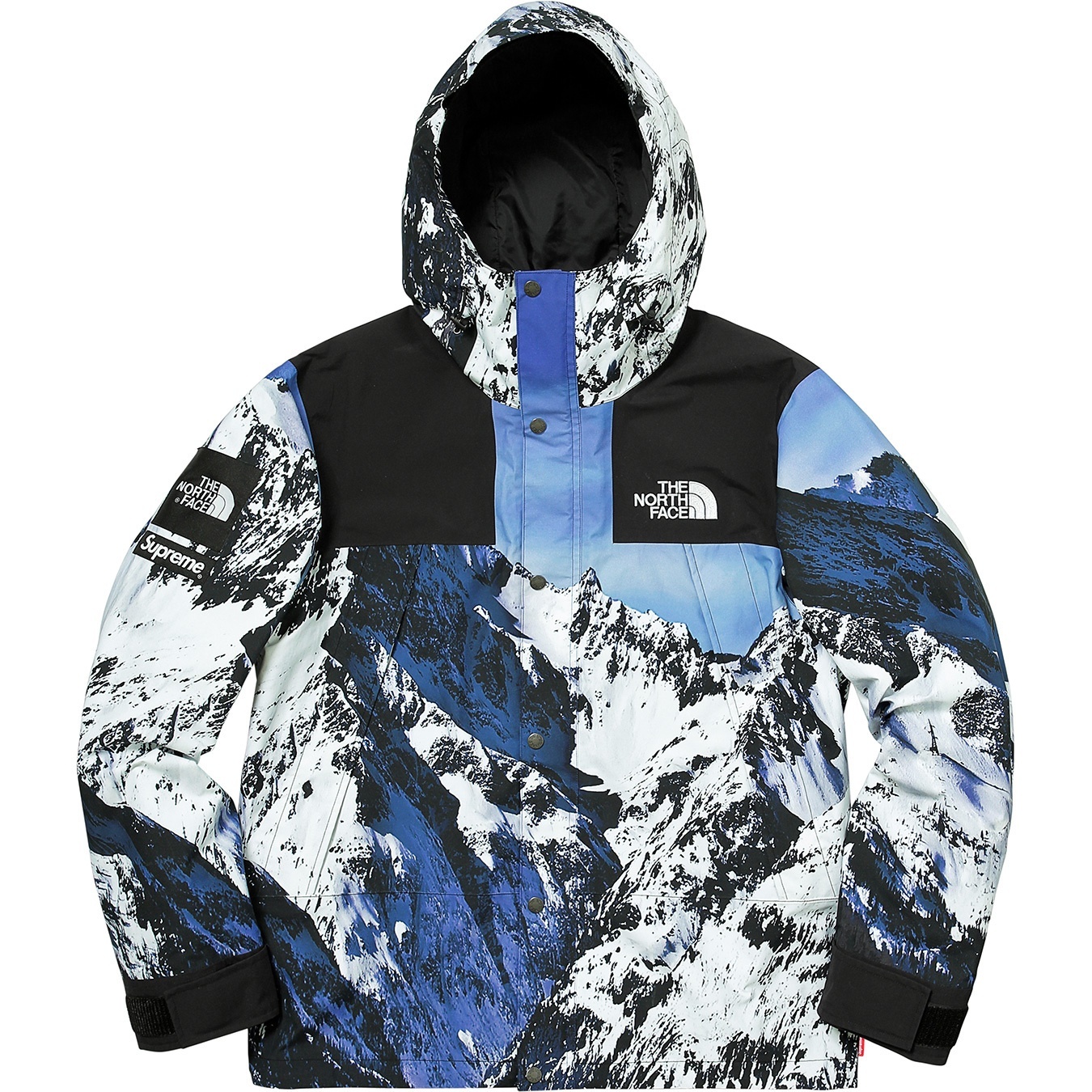 Supreme®/The North Face® Mountain Parka view 2